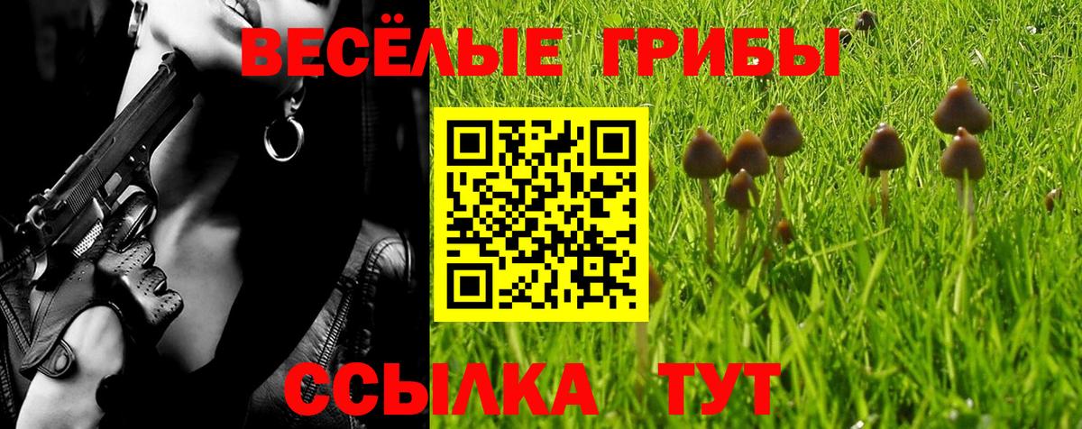 Богданович  Псилоцибиновые грибы мицелий  Вход с VPN 